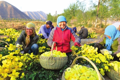 兰州红古区探索智慧农业 “互联网+”销售模式
